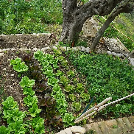 Villa Verde