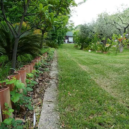 Verde Villa